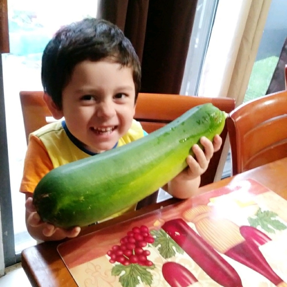 Meet your Posher, Rosa